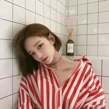 情寻猫脚印